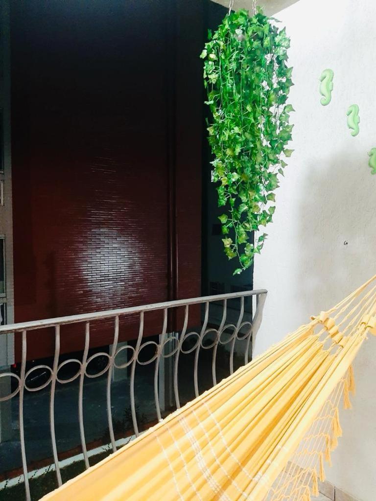 Apto Amplo, Confortavel, Bem Localizado, Asturias Guaruja Ngoại thất bức ảnh